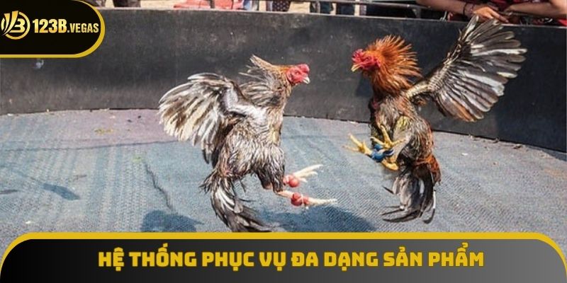 Đá gà 123B với đa dạng loại hình