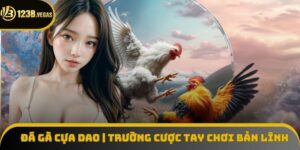 Đá Gà Cựa Dao 123B | Trường Cược Máu Lửa Tay Chơi Bản Lĩnh