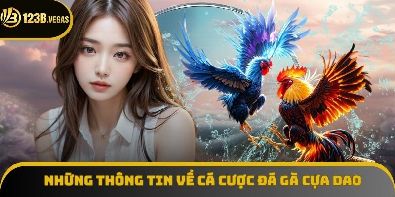 Những thông tin chung về cá cược đá gà cựa dao Những thông tin chung về cá cược đá gà cựa dao