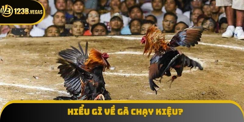 Hiểu gì về gà chạy kiệu? Hiểu gì về gà chạy kiệu?