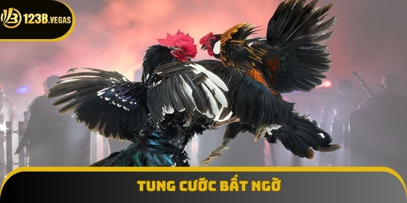 Tung cước bất ngờ là chiến thuật hấp dẫn Tung cước bất ngờ là chiến thuật hấp dẫn