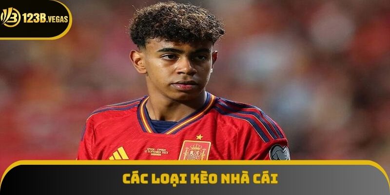 Các thể loại cá cược phổ biến nhất 2025 Các thể loại cá cược phổ biến nhất 2025