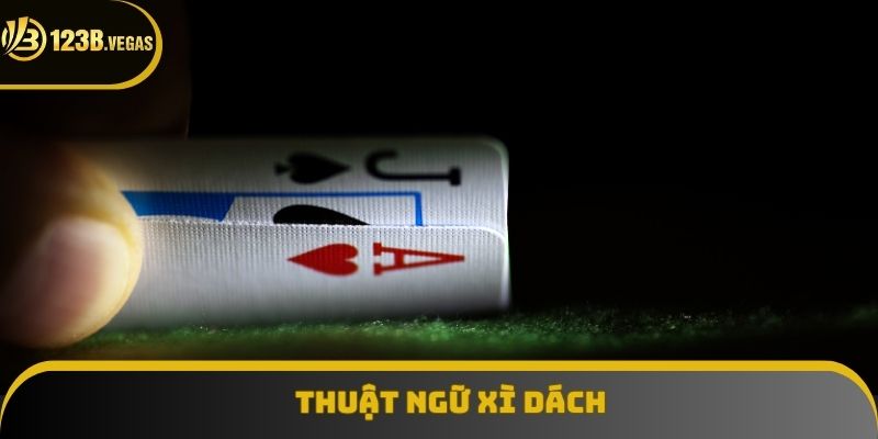 Top thuật ngữ cơ bản dễ hiểu khi tham gia chơi game bài